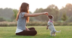 Puppy Training 101: Essential Tips for Successfully Training Your New Fur Baby at Home