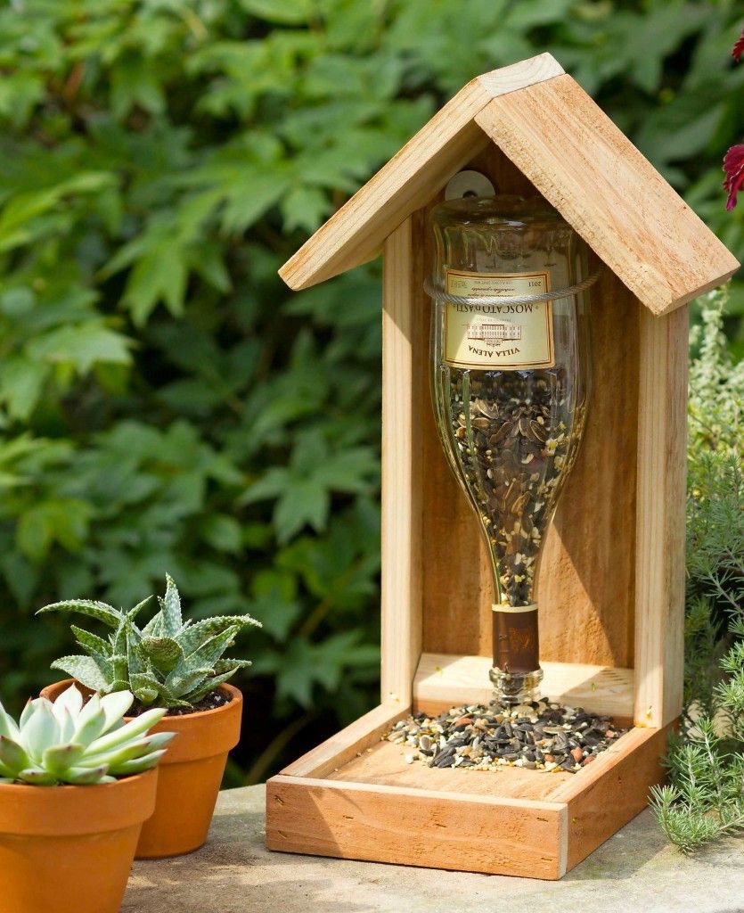 DIY Bird Feeder: Inviting Feathered Friends to Your Home