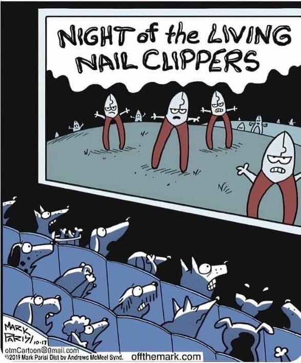 Doggy Nightmares at the Paws &amp; Howls Theater: The Tale of &#8216;Night of the Living Clippers