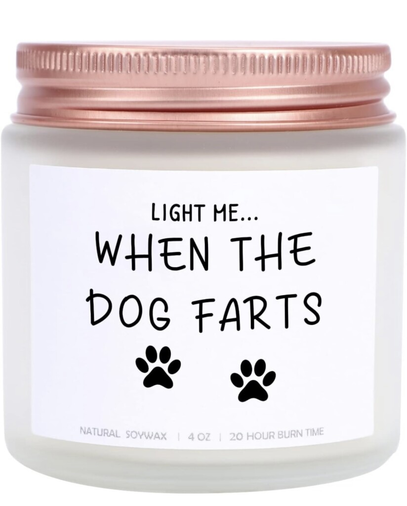 Light Me When The Dog Farts &#8211; A Hilarious Treat for Dog Owners!