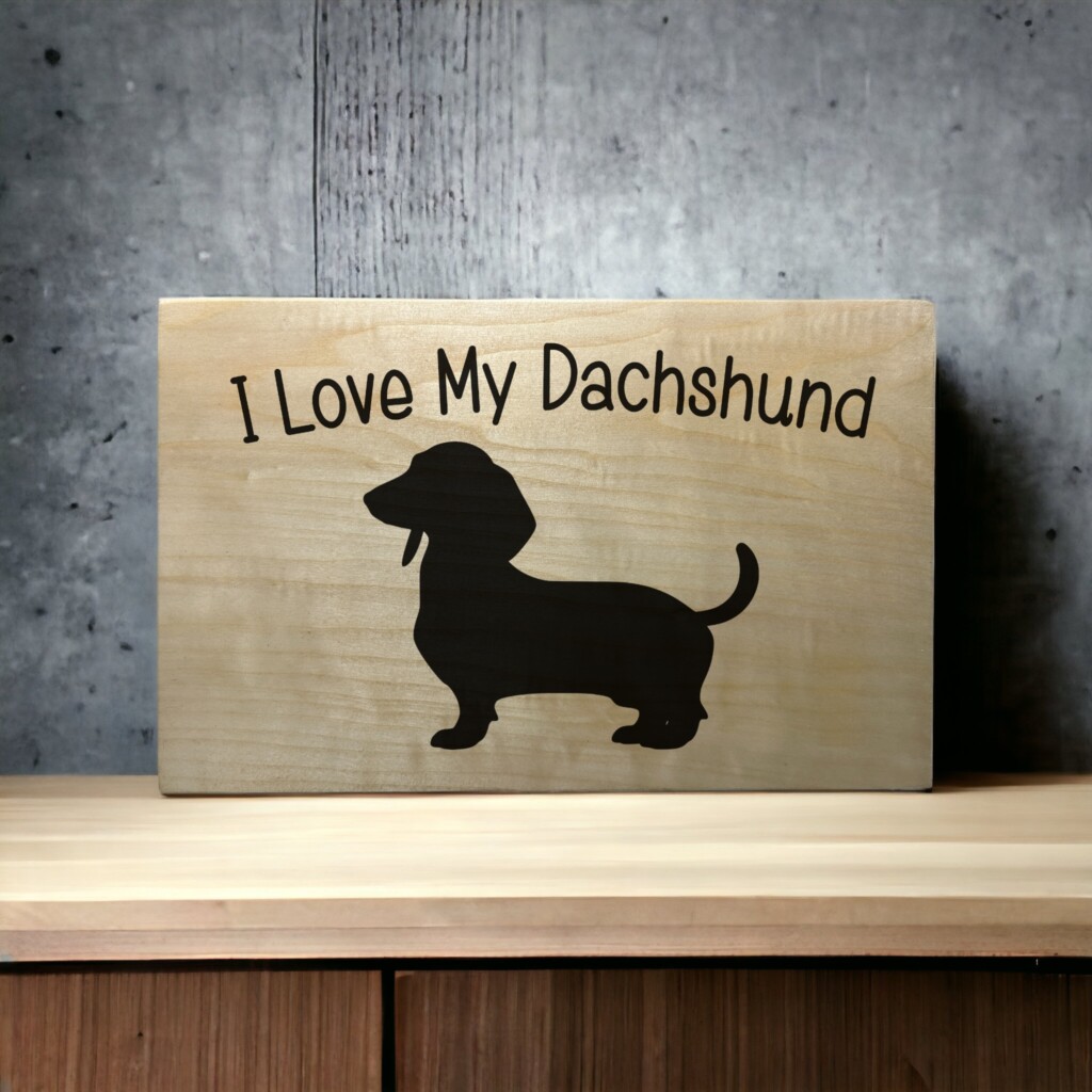Dachshund Delights: The Love and Charisma of Your Four-Legged Companion