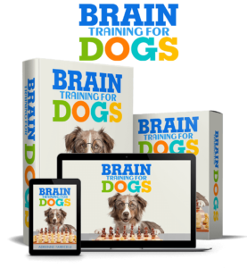 Unleashing Your Dog&#8217;s Hidden Potential with Brain Training