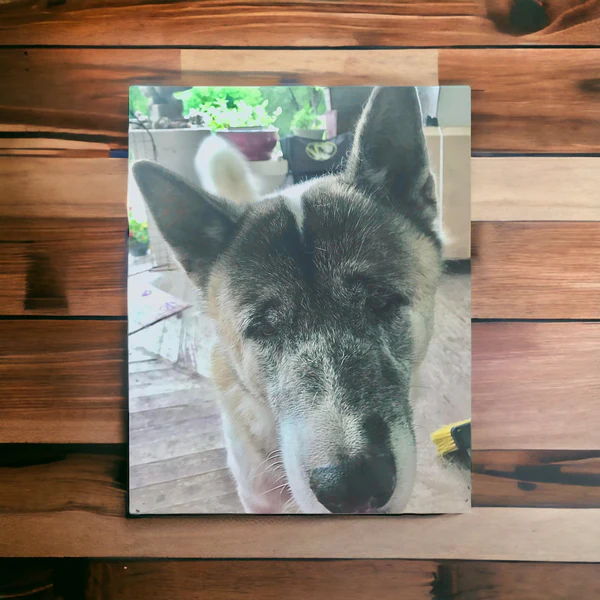 Custom Dog Photo Canvas Wall Art: The Perfect Tribute to Your Furry Friend
