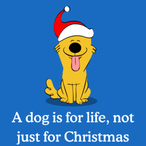 Puppies: A Lifelong Commitment Beyond Just a Christmas Gift