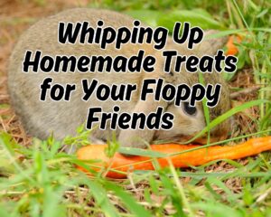 Bunny&#8217;s Kitchen: Whipping Up Homemade Treats for Your Floppy Friends