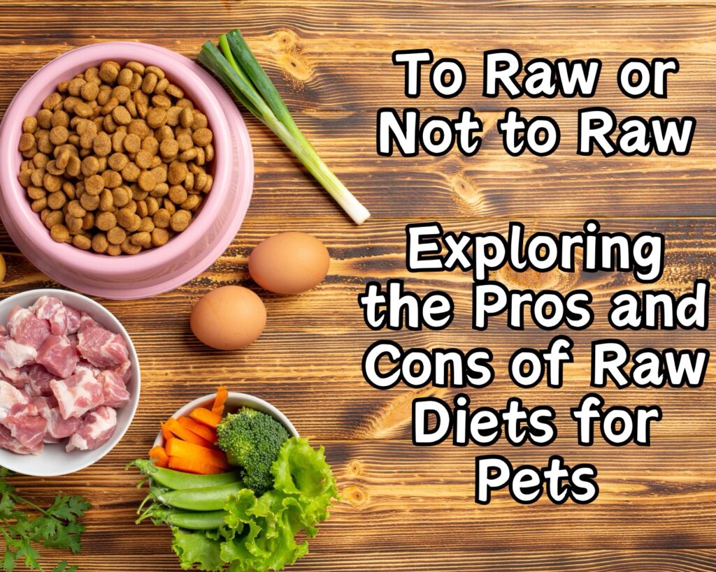 To Raw or Not to Raw: Exploring the Pros and Cons of Raw Diets for Pets