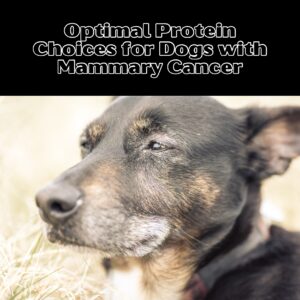 Optimal Protein Choices for Dogs with Mammary Cancer