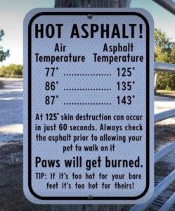 Protect Your Pet: How Hot Asphalt Can Burn Paws in Seconds