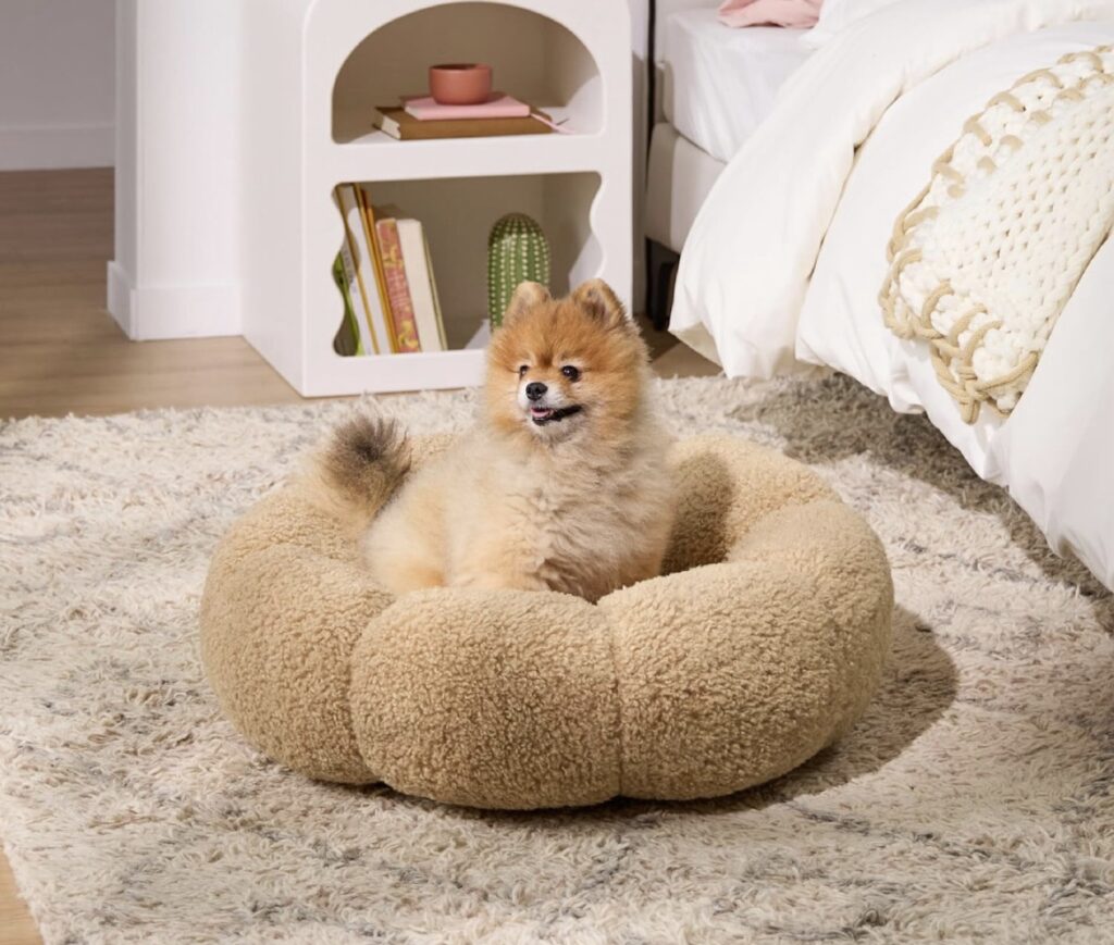 Bouclé Dog Beds: Ultimate Comfort and Style for Your Furry Friend!