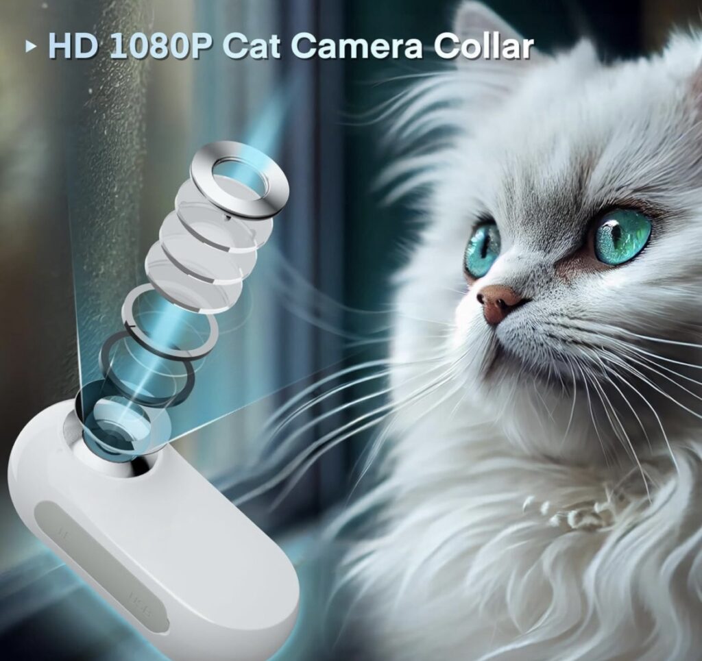 Explore Your Cat&#8217;s World: The Ultimate Guide to Cat Collar Cameras