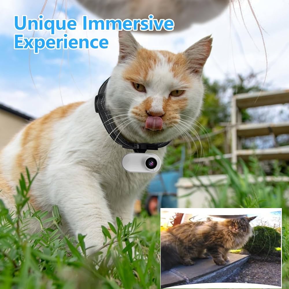 Explore Your Cat&#8217;s World: The Ultimate Guide to Cat Collar Cameras