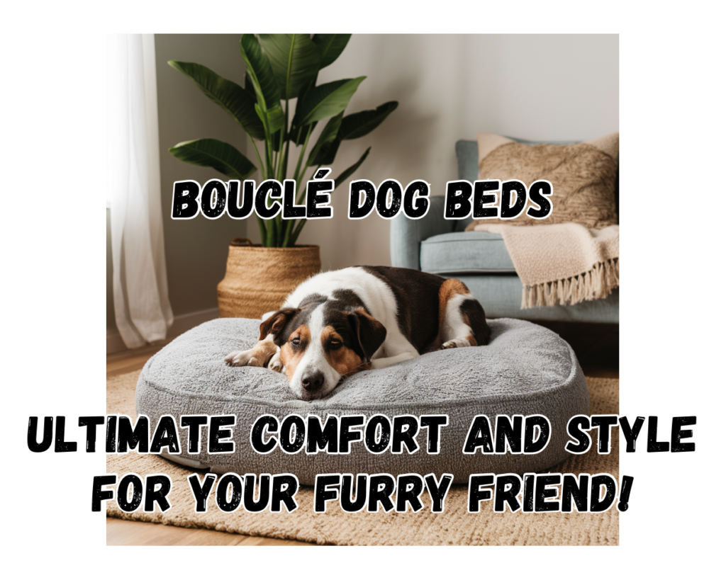 Bouclé Dog Beds: Ultimate Comfort and Style for Your Furry Friend!