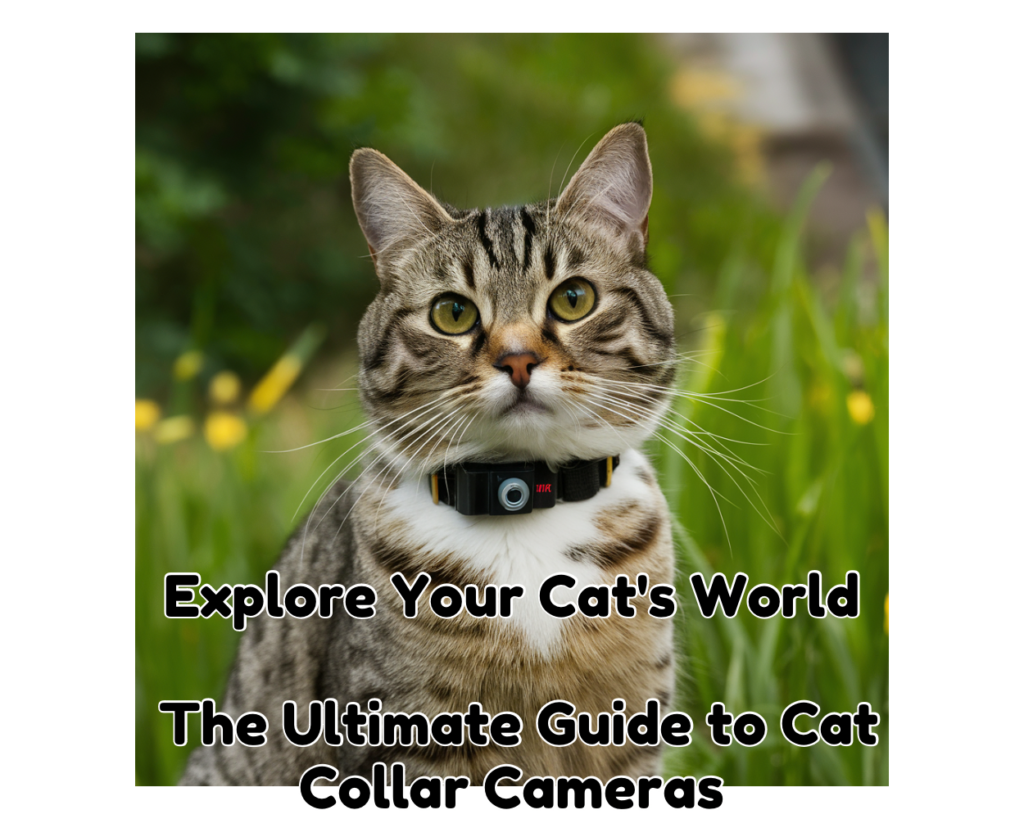 Explore Your Cat&#8217;s World: The Ultimate Guide to Cat Collar Cameras