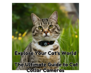Explore Your Cat&#8217;s World: The Ultimate Guide to Cat Collar Cameras