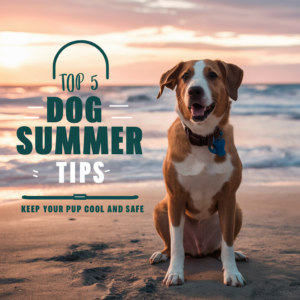 Top 5 Dog Summer Safety Tips: Keep Your Pup Cool and Safe