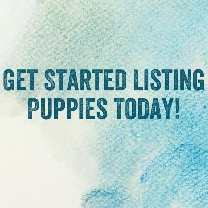 Top Platforms to Sell Puppies Online