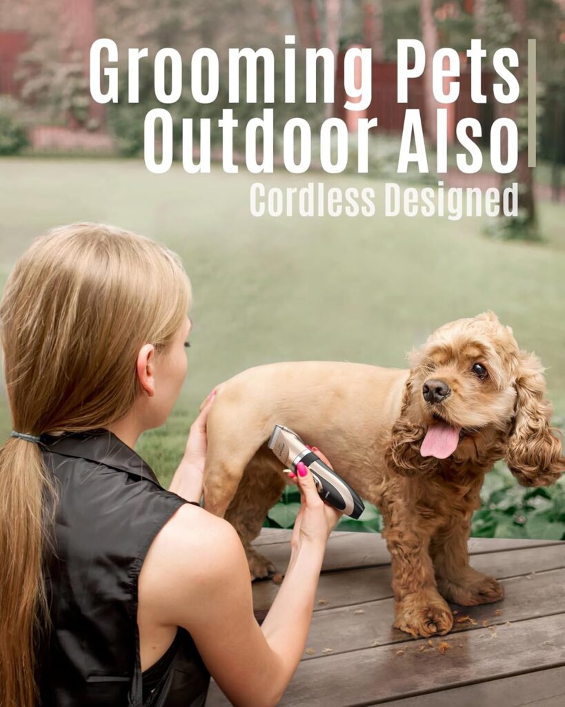 Grooming Tips for a Shiny and Well-Maintained Pet Coat