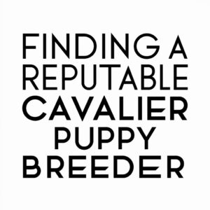 Finding A Reputable Cavalier Puppy Breeder