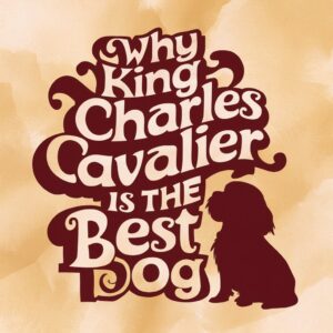 THE CHARM OF THE KING CHARLES CAVALIER: WHY IT’S THE BEST DOG BREED TO OWN