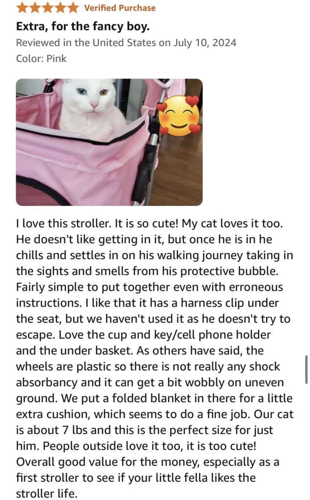 Are Cat Strollers a Good Idea? Everything You Need to Know!