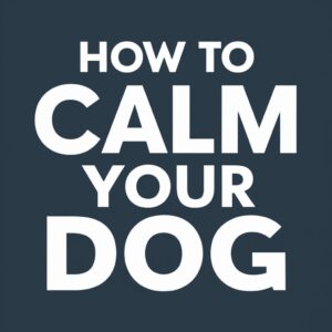 The Key to a Calmer Canine: Understanding Dog Behavior