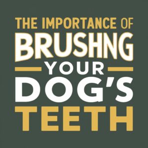 The Importance of Brushing Your Dog’s Teeth